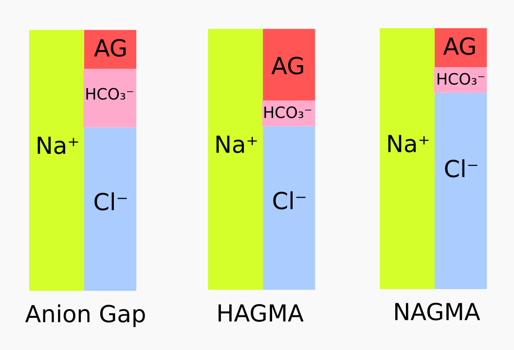 Anion Gap