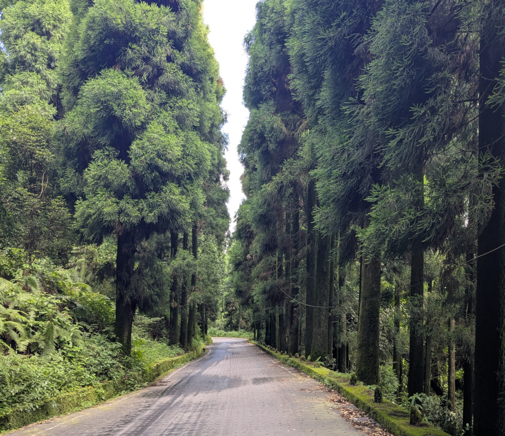 Road to Kurseong