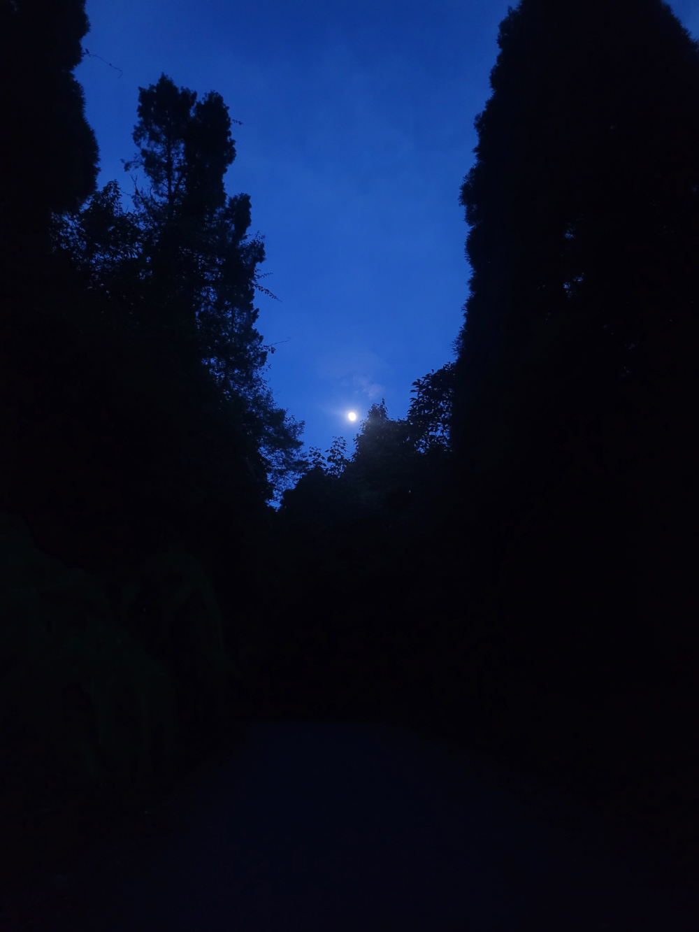 Dark Road