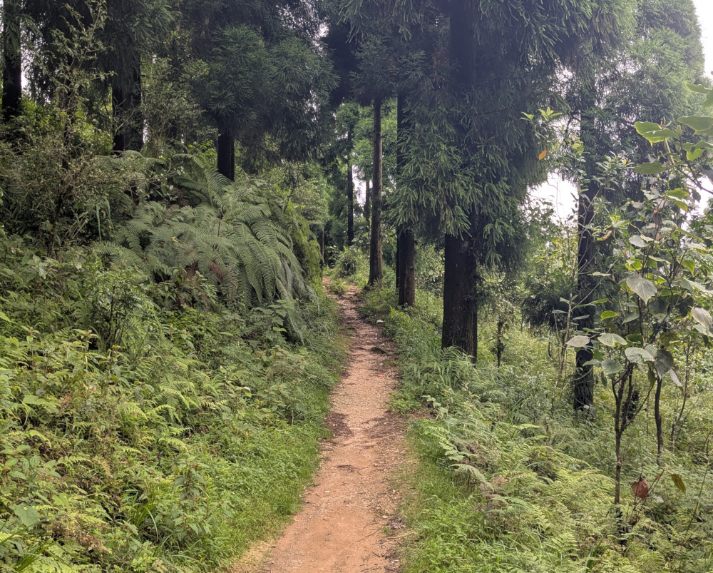 Trail