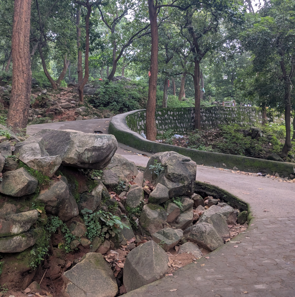 Beginning of Parasnath Trail