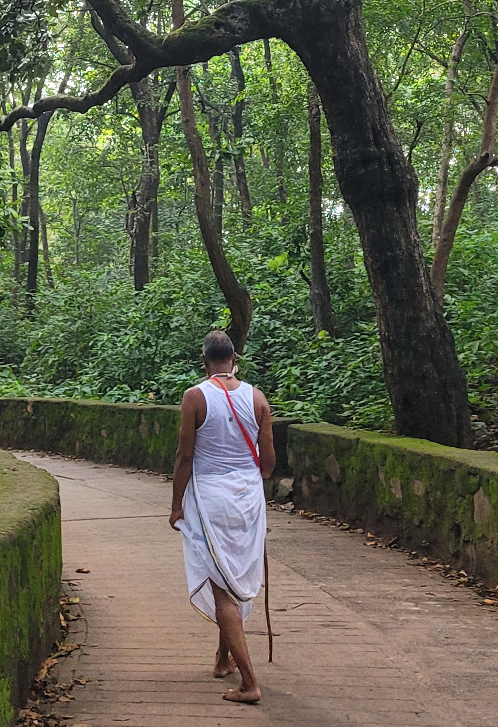 A pilgrim