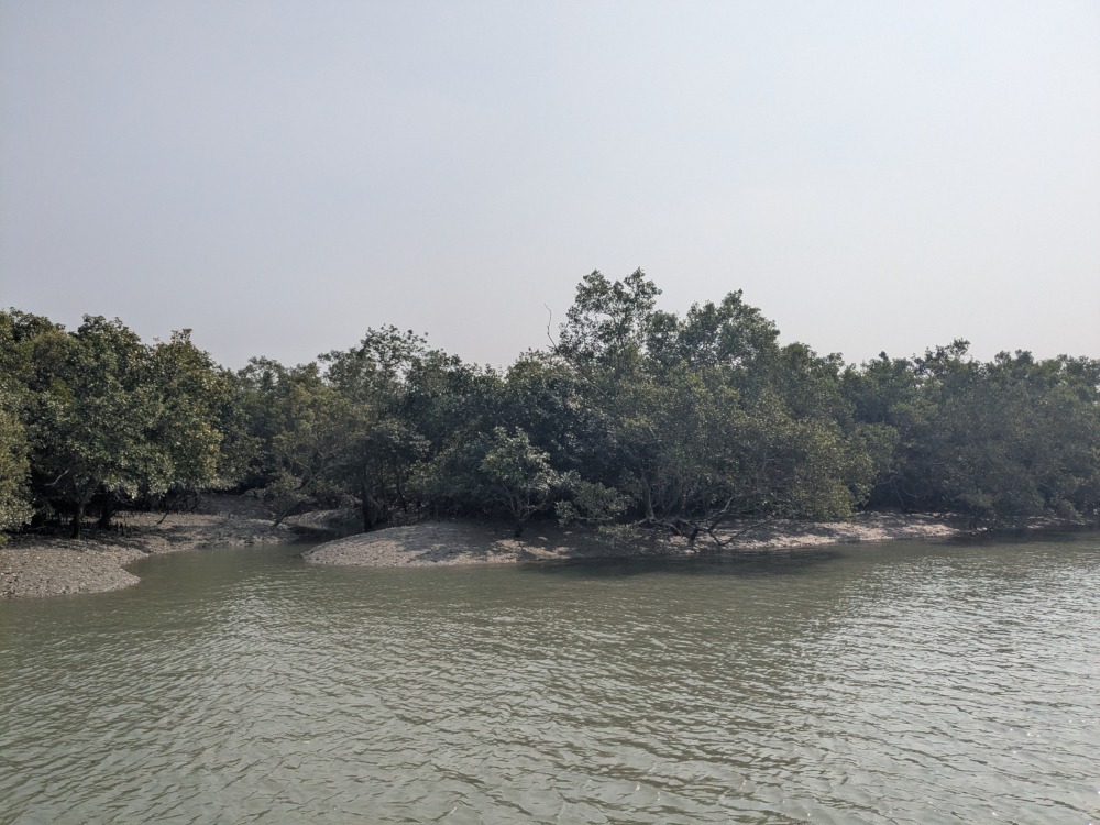 Sundarbans